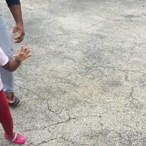 Meet your Posher, Robenson